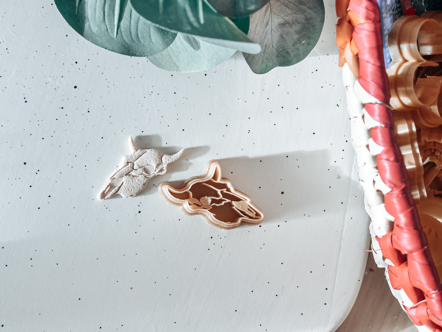 Cow Skeleton Skull image 2