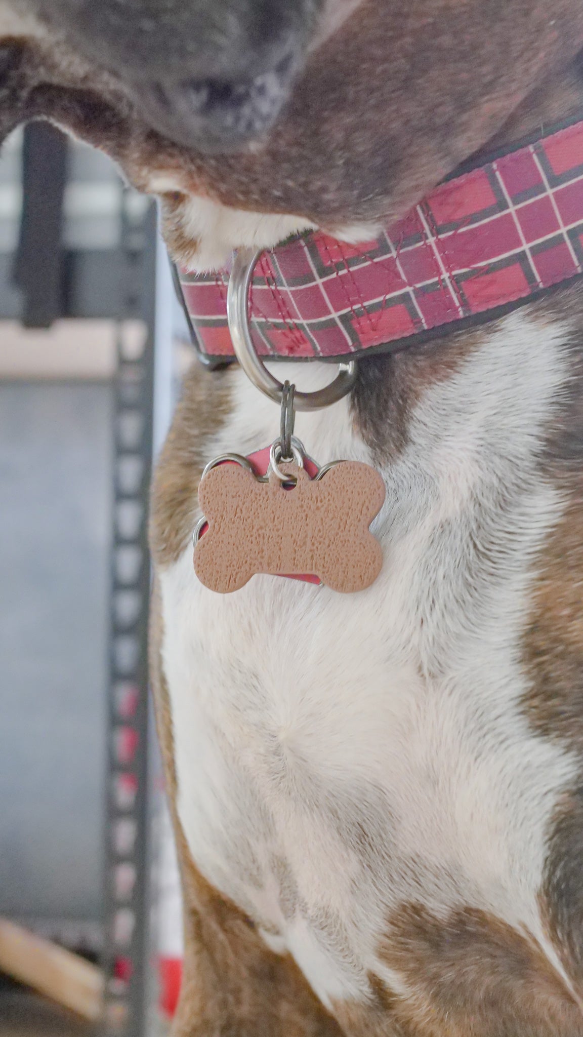 Dog Tag Polymer Clay Cutter Set