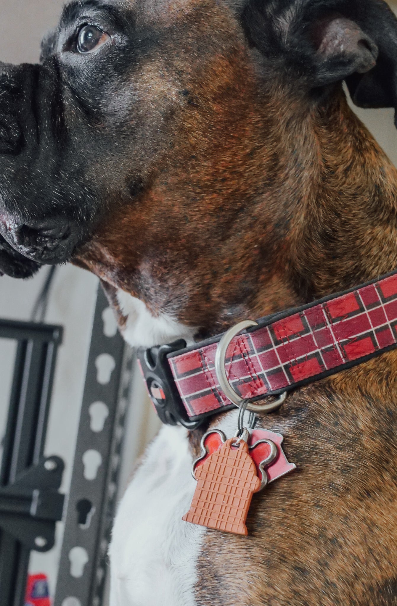 Dog Tag Polymer Clay Cutter Set