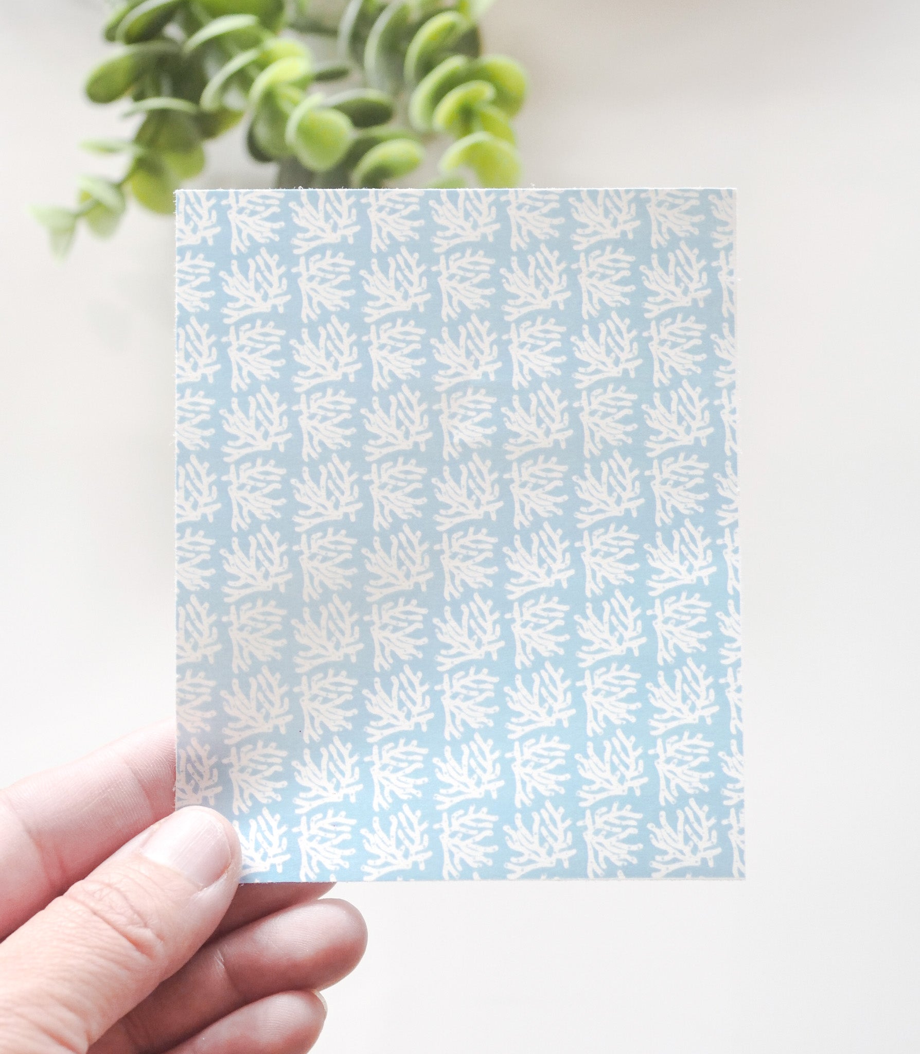 Coral Transfer Sheets image 0